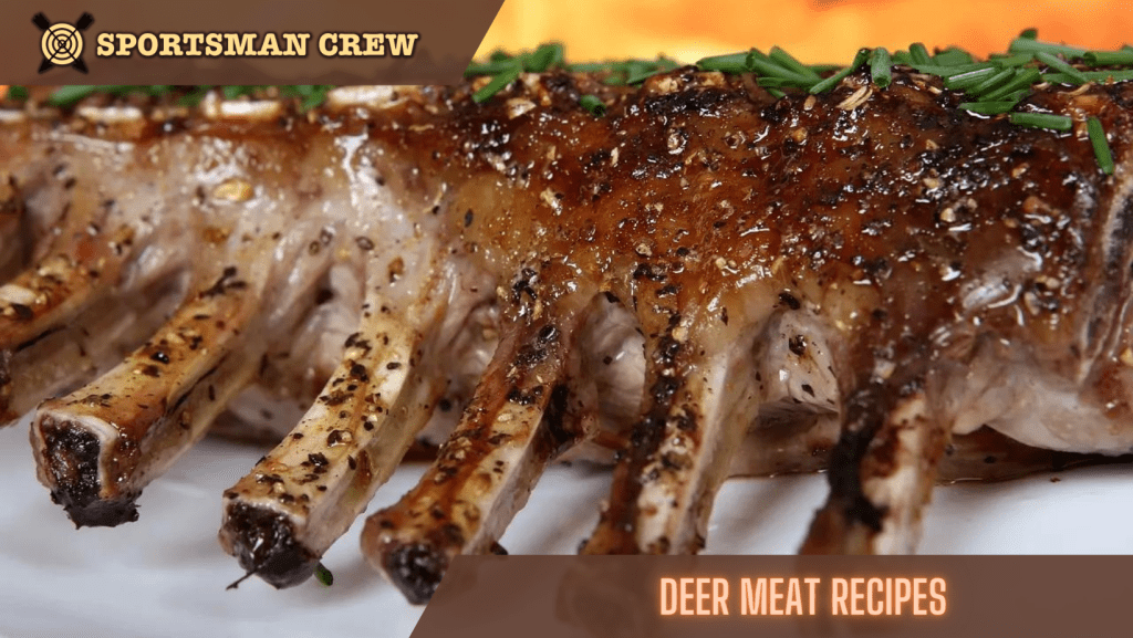 Deer Meat Recipes