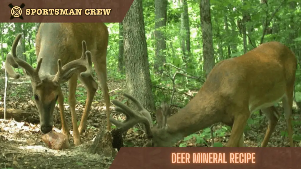 Deer Mineral Recipe