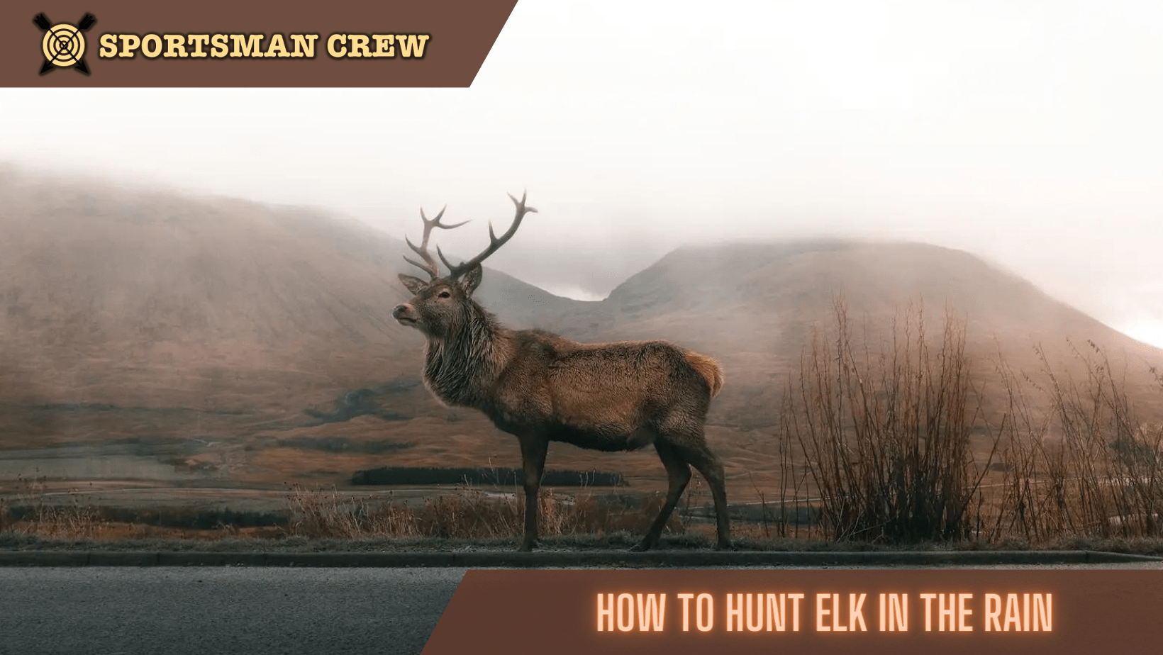 Hunt Elk In The Rain