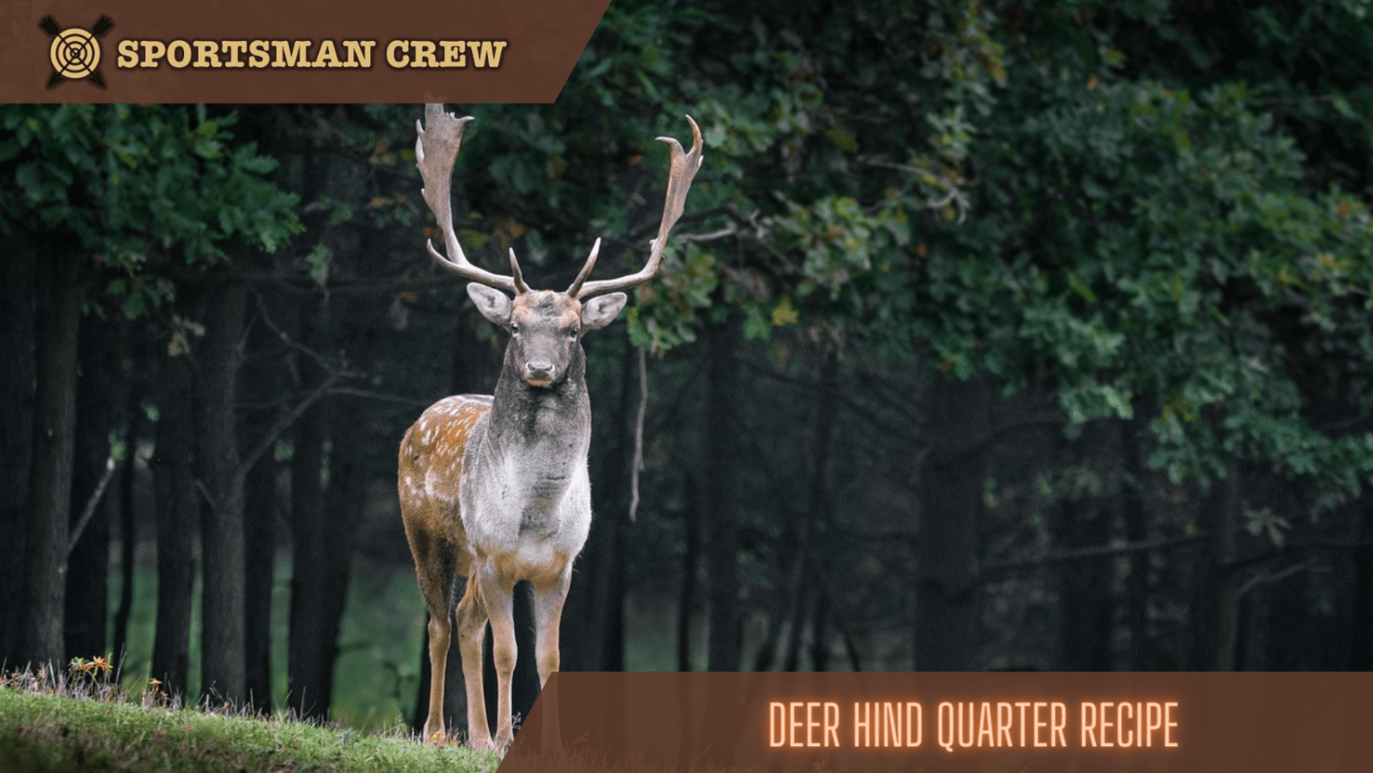 An Amazing Vanilla Extract Deer Attractant Recipe