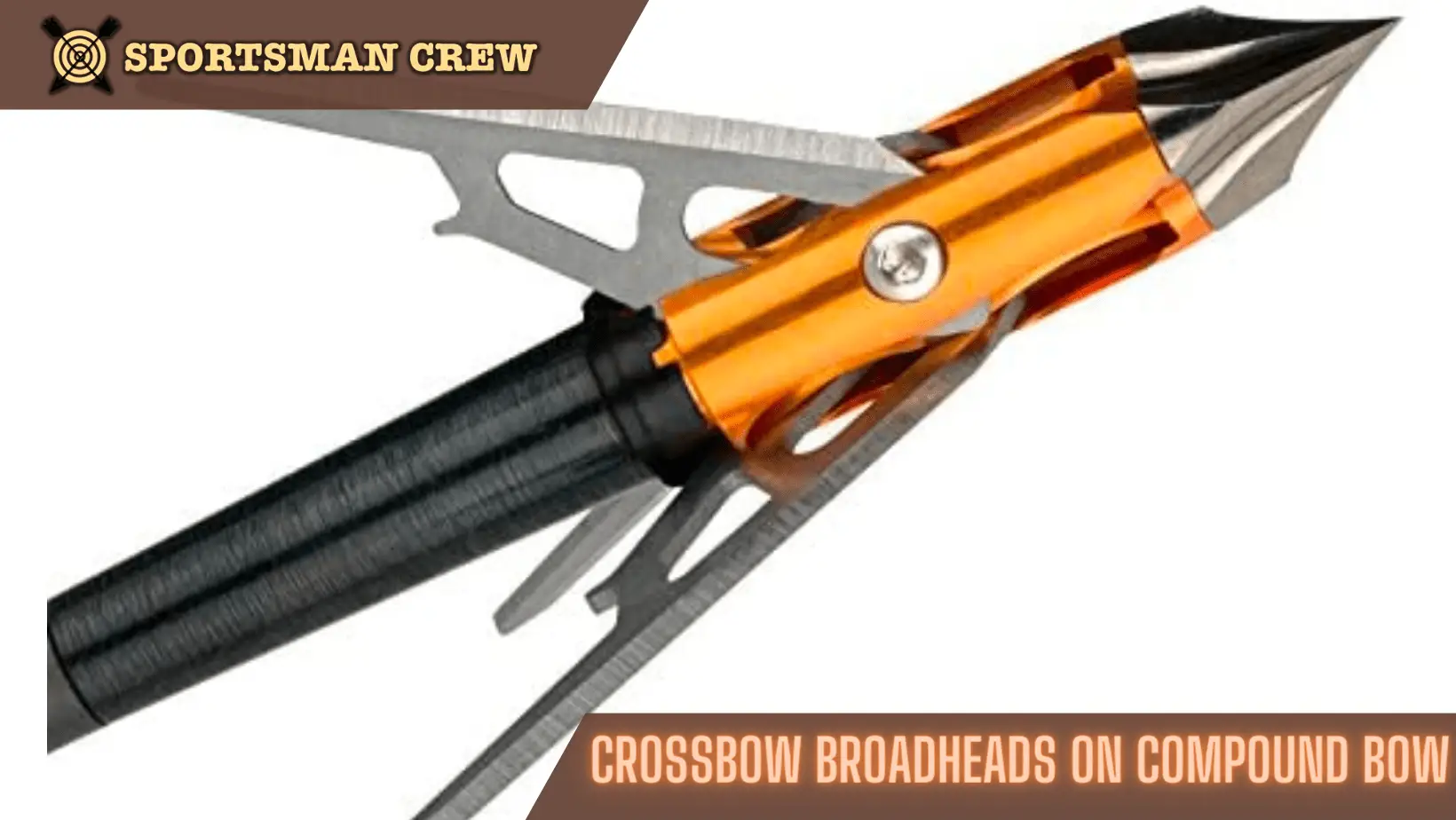 Crossbow Broadheads on a Compound Bow