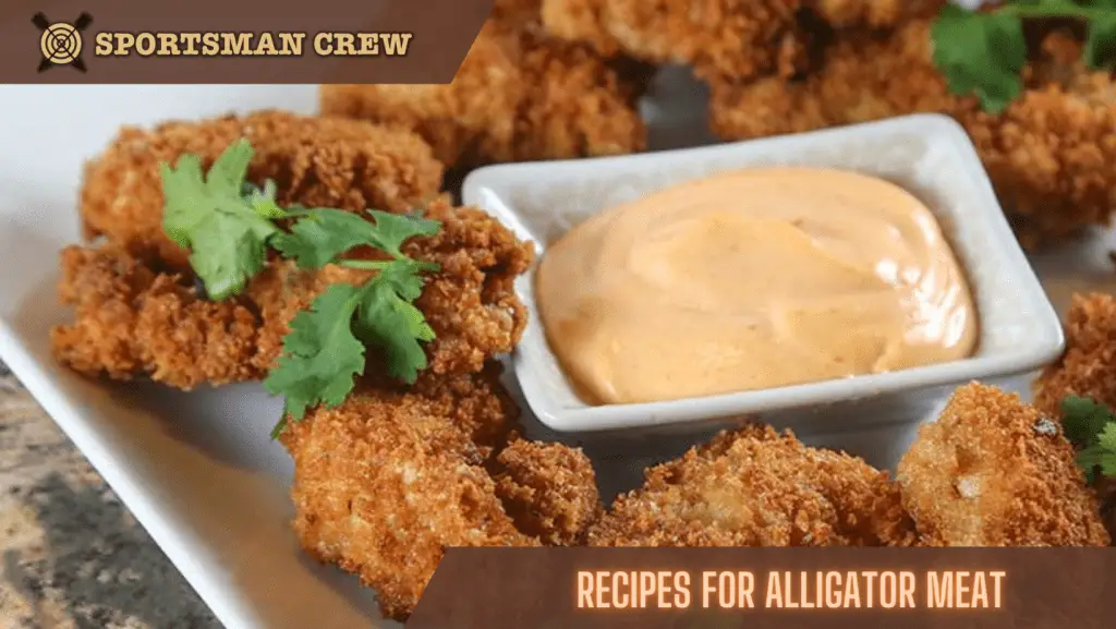 Recipes For Alligator Meat