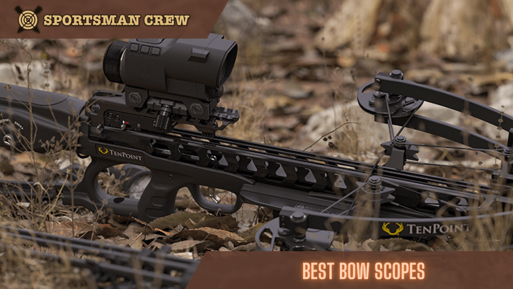 best bow scope