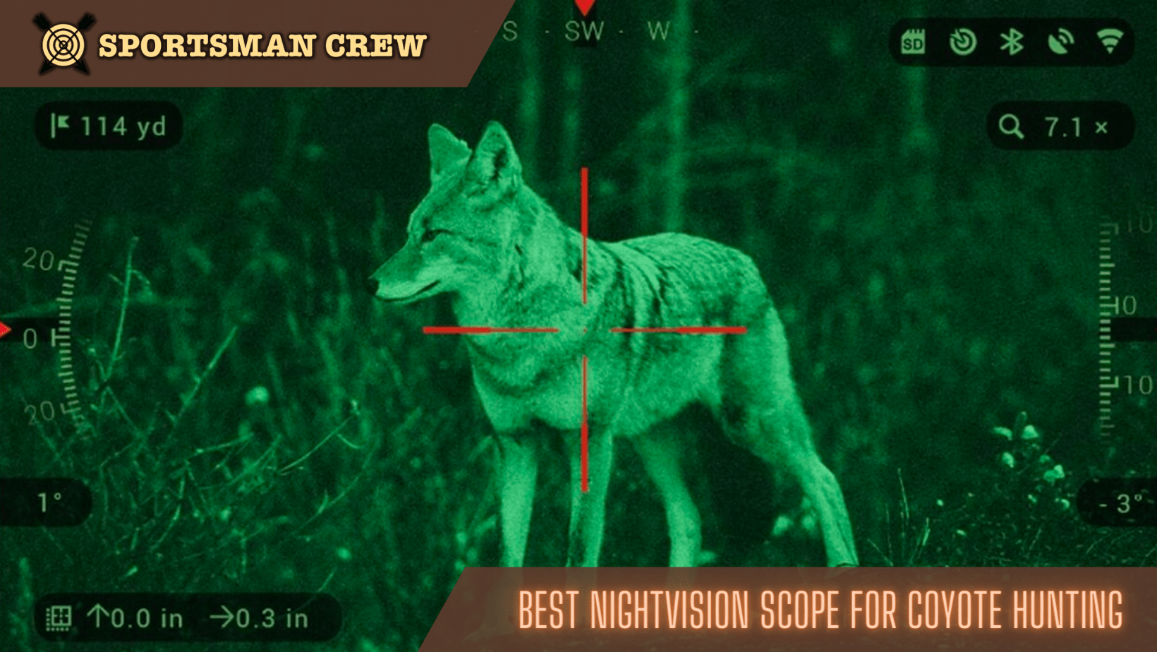 best night vision scopes for coyote hunting