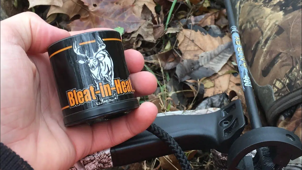 What is a Doe in Heat Call?