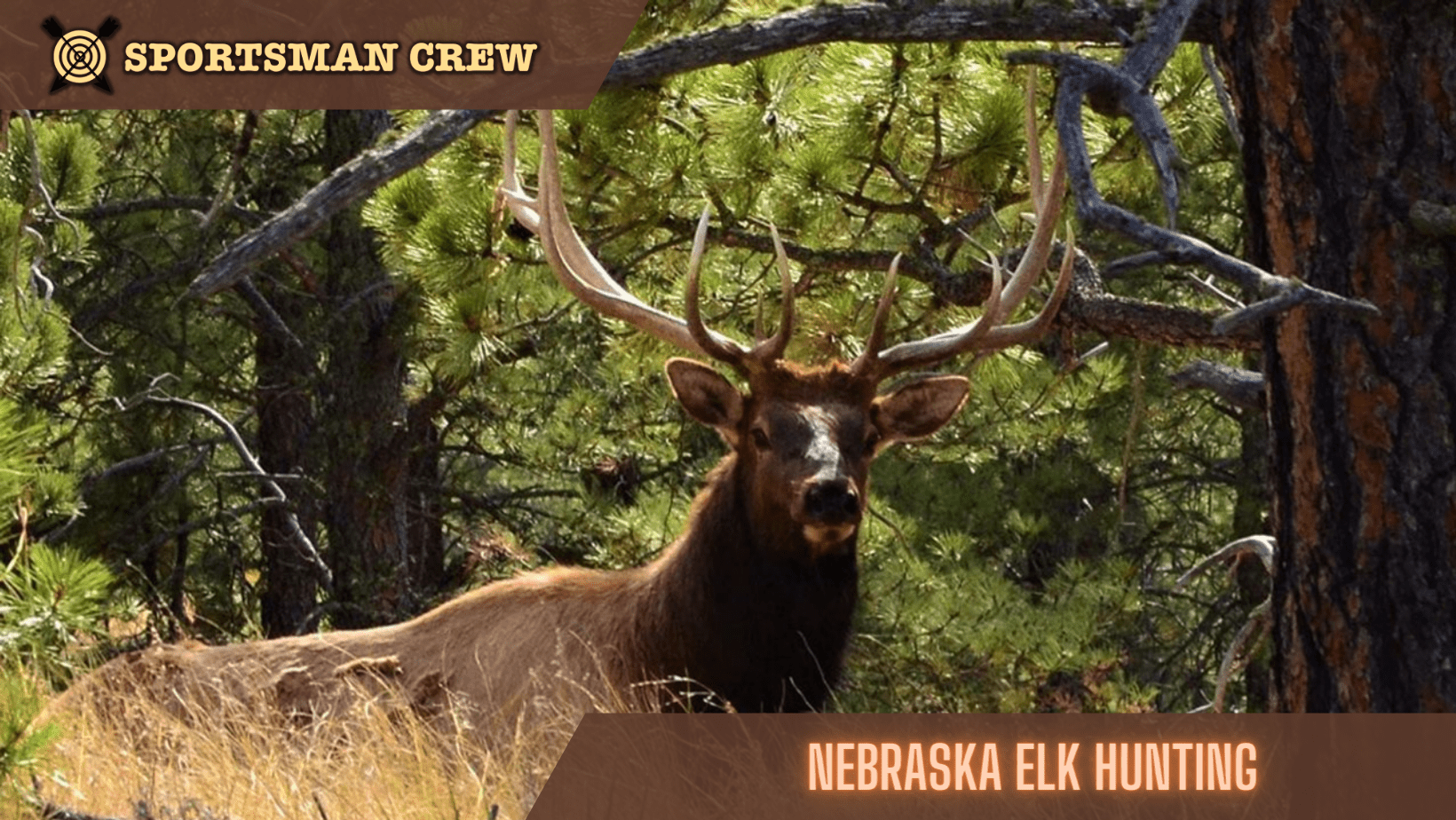 nebraska elk hunting
