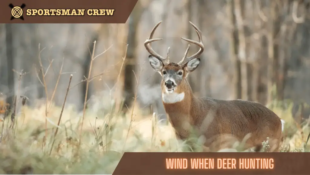 How Much is Too Much Wind for Deer Hunting?