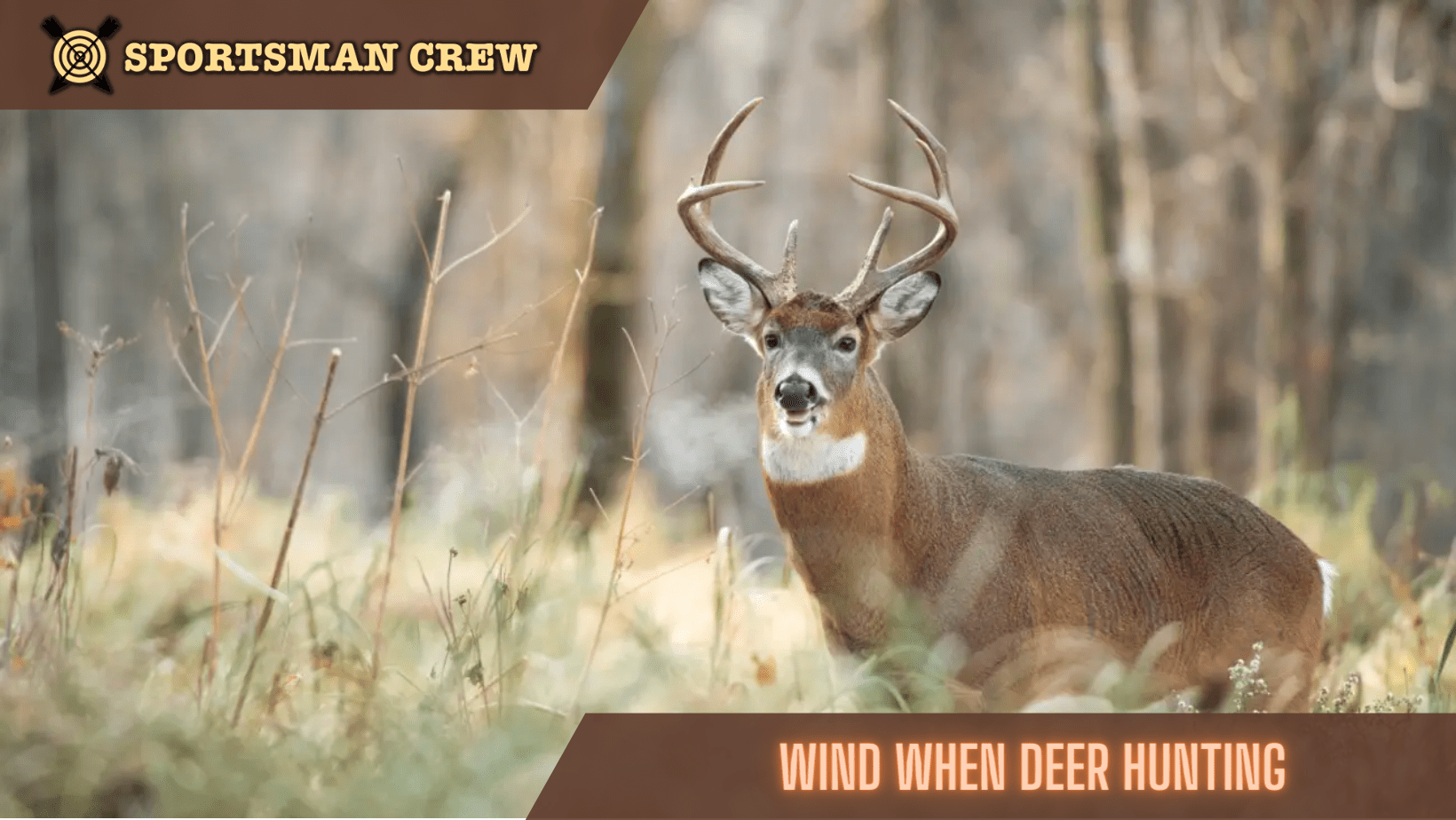wind for deer hunting