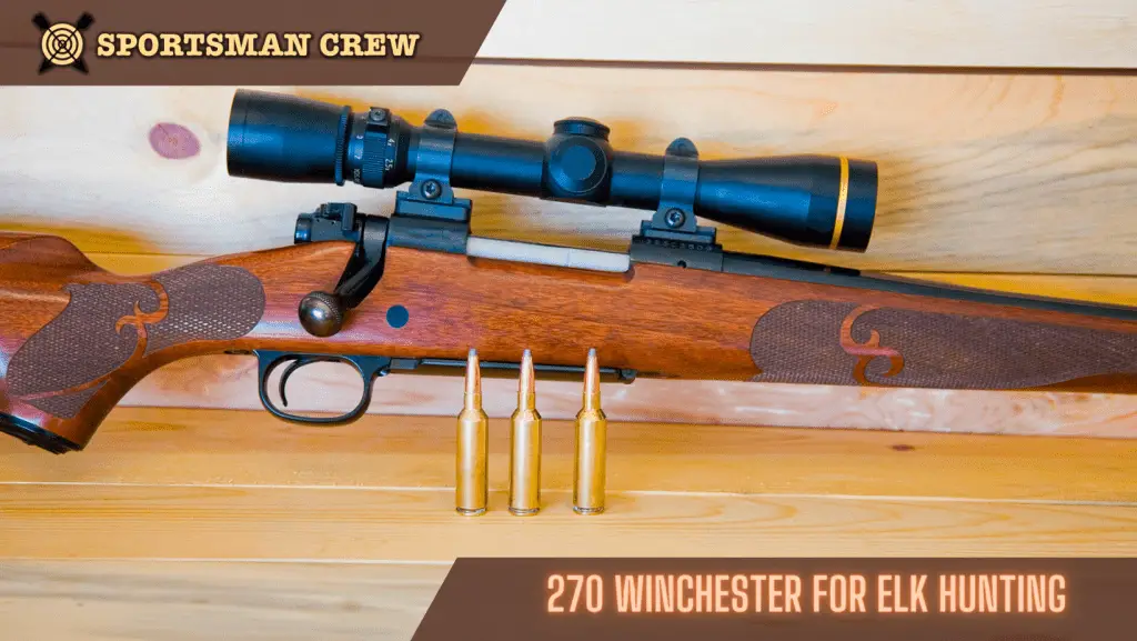 270 Winchester for Elk