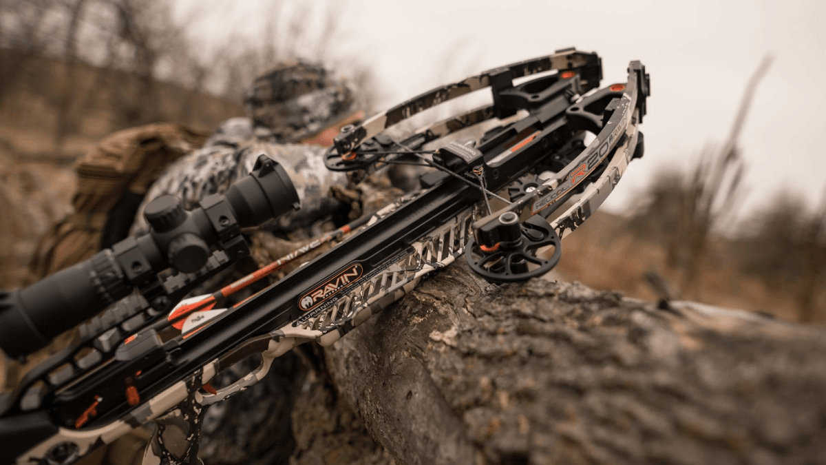 Why Do Bowhunters Hate Crossbows