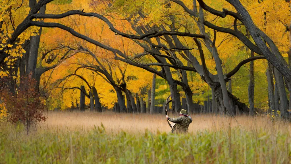 when does bow hunting start in michigan