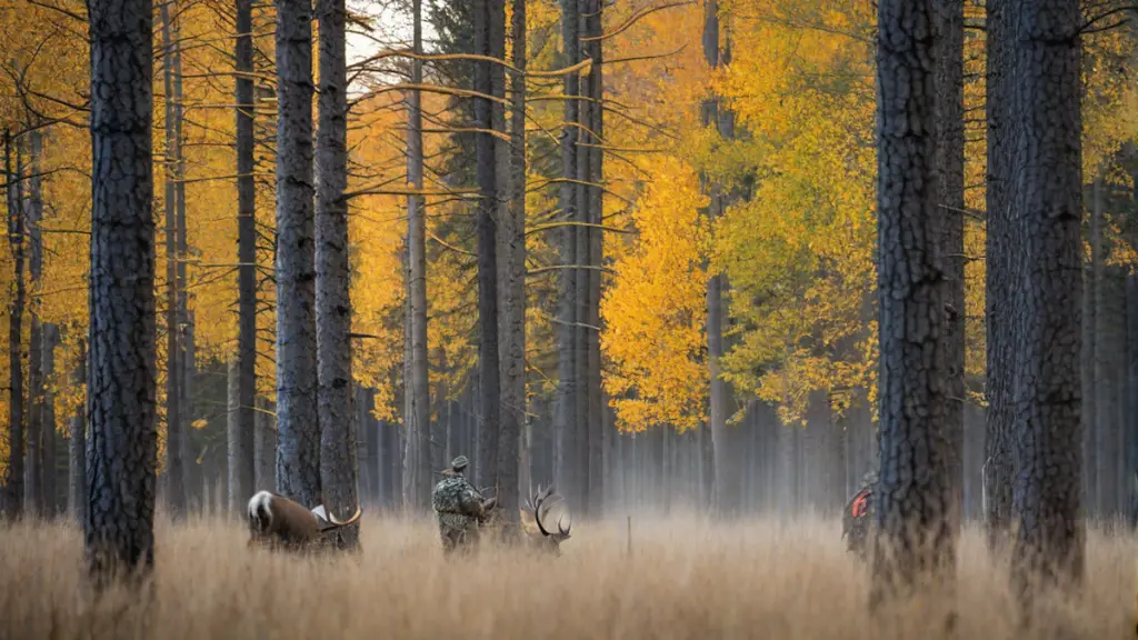 when is bow hunting season in alberta