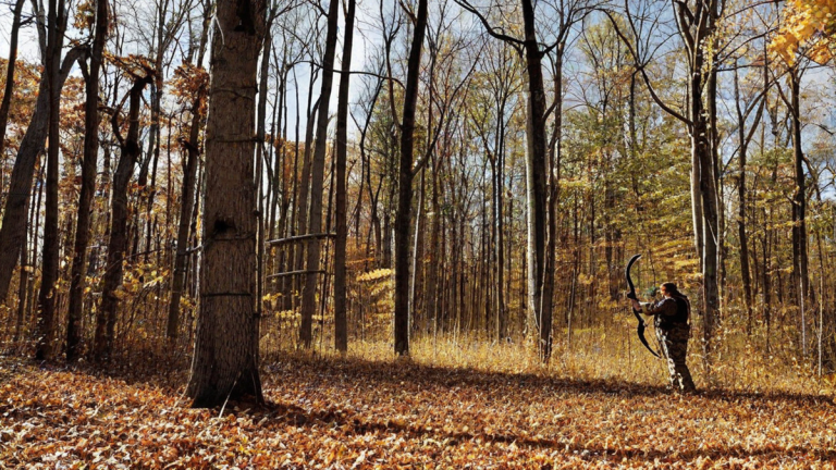 When Is Bow Hunting Season In Illinois